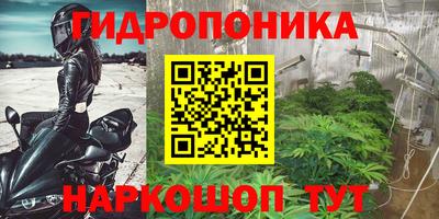наркотики Берёзовский