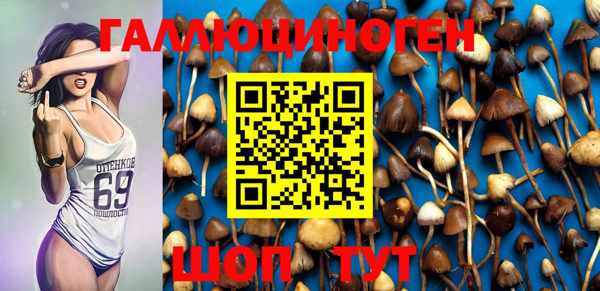 Псилоцибиновые грибы Psilocybine cubensis  Псилоцибиновые грибы Magic Shrooms  Вход с VPN  Ковров 